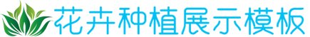 玖鼎集团官网入口,9d体育娱乐App